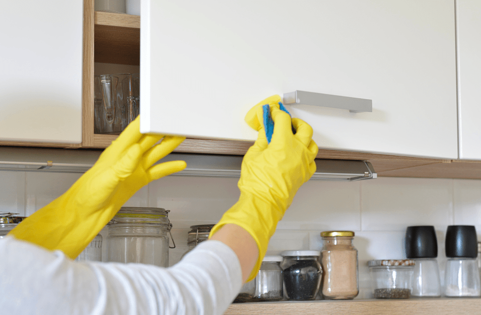 Peak Performance Cleaning Solutions