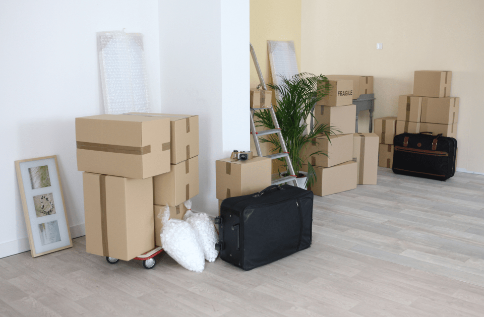 Peak Performance Cleaning Solutions